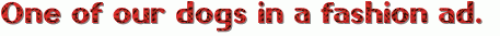 0ba2jo1327979252.gif