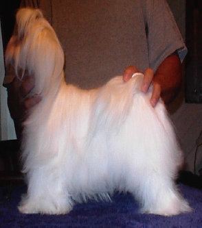 talisa%203.jpg