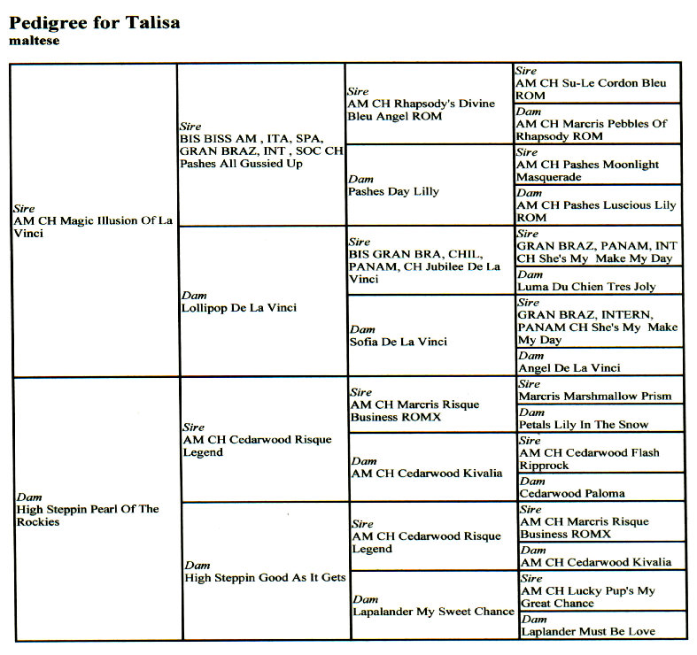 talisa%20pedigree.jpg